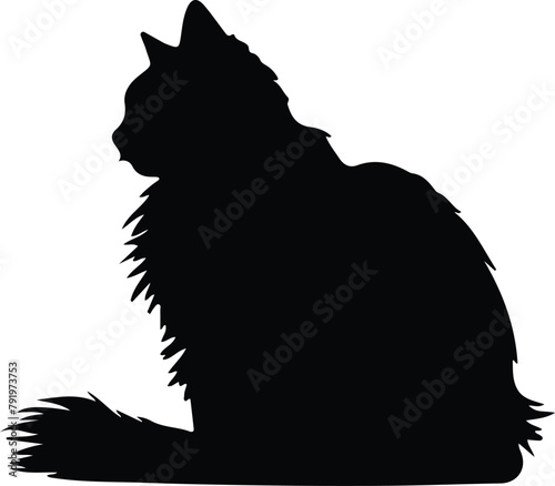 British Longhair Cat silhouette
