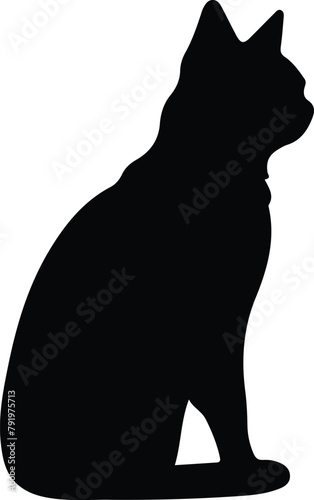 Colorpoint Shorthair Cat silhouette