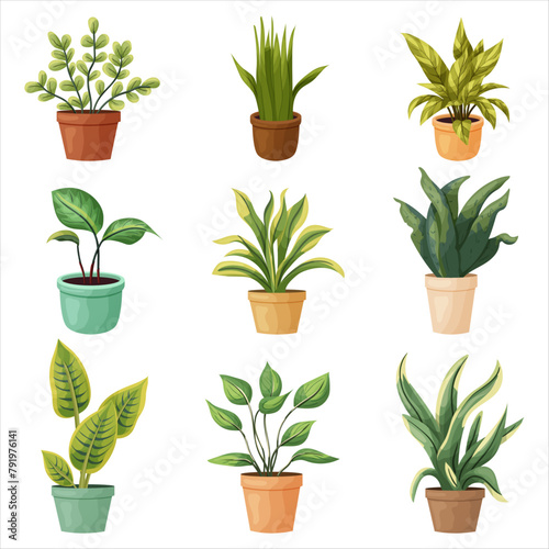 A set of potted indoor plants. Vector illustration on a transparent background