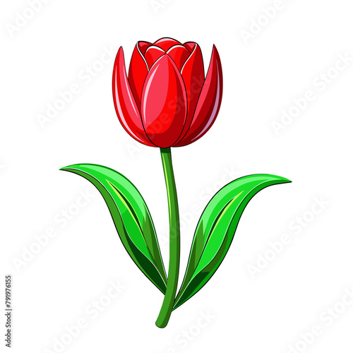 Red tulip cartoon style on white background