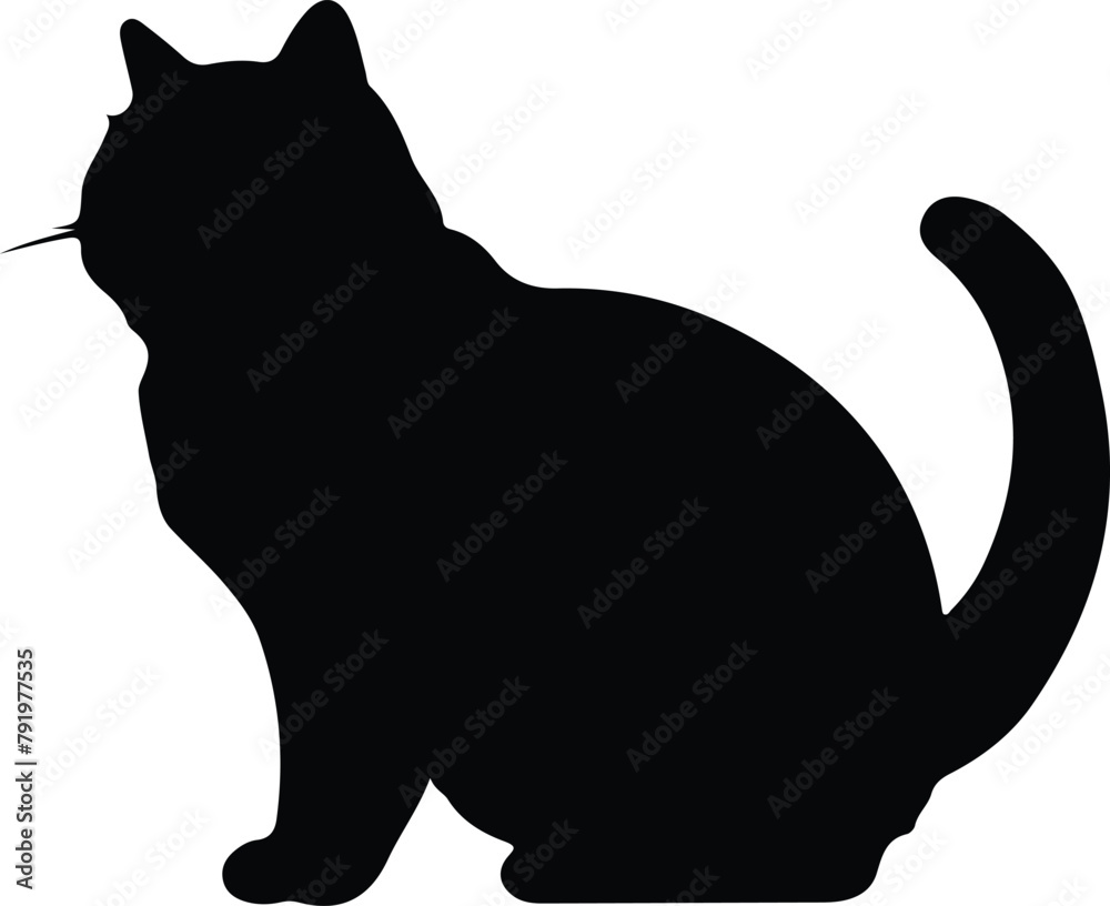 Exotic Shorthair Cat silhouette Exotic Shorthair Cat silhouette
