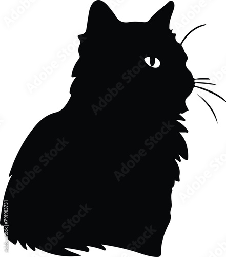 Selkirk Rex Cat silhouette © Mappingz