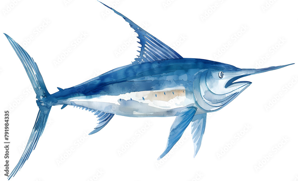 Sea Fish isolate On Transparent Background, Marine Fish  Hight Quality illustration in Watercolor Style, Ocean Decor