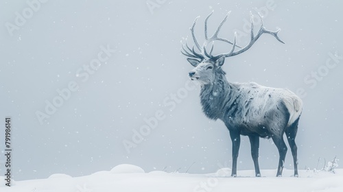   A large elk atop a snow-covered field during a wintry day, its antlers heavily coated with snow photo