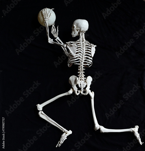 Das menschliche Skelett vor schwarzem Hintergrund