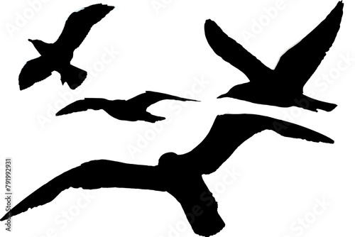 Collage Grafik fliegende Möwen Vögel