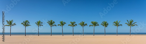 A row of palm trees are lined up on a beach