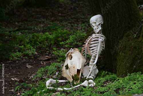 Vergessen. Symbolisches Bild vom Tod. Menschliches Skelett mit Pferdeschädel im Wald