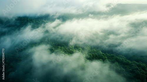Amidst a dense fog, LiDAR technology penetrates the mist, mapping terrain