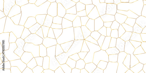 Abstract white crystalized broken glass background .black stained glass window art vector background . broken stained glass golden lines geometric pattern .