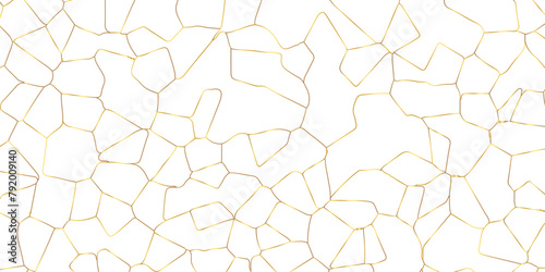 Abstract white crystalized broken glass background .black stained glass window art vector background . broken stained glass golden lines geometric pattern .