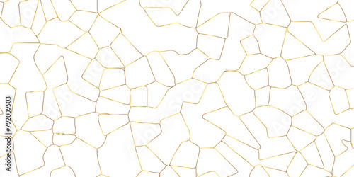 Abstract white crystalized broken glass background .black stained glass window art vector background . broken stained glass golden lines geometric pattern .