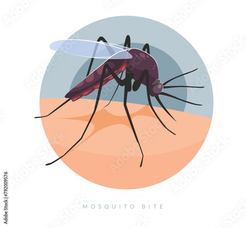 Mosquito biting on Human Skin - Stock Illustration