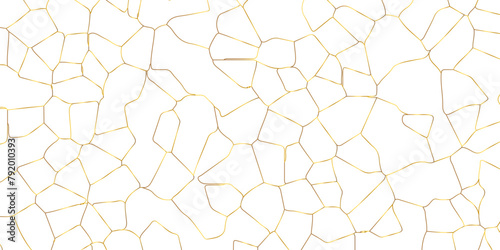Abstract white crystalized broken glass background .black stained glass window art vector background . broken stained glass golden lines geometric pattern .