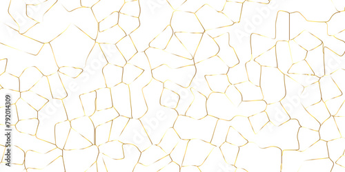 Abstract white crystalized broken glass background .black stained glass window art vector background . broken stained glass golden lines geometric pattern .