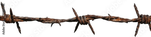 Close-up of a rusty barbed wire segment isolated on a white background symbolizing barrier and protection.