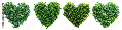 Set of heart shape green bush cutout clipping path png isolated on white or transparent background photo