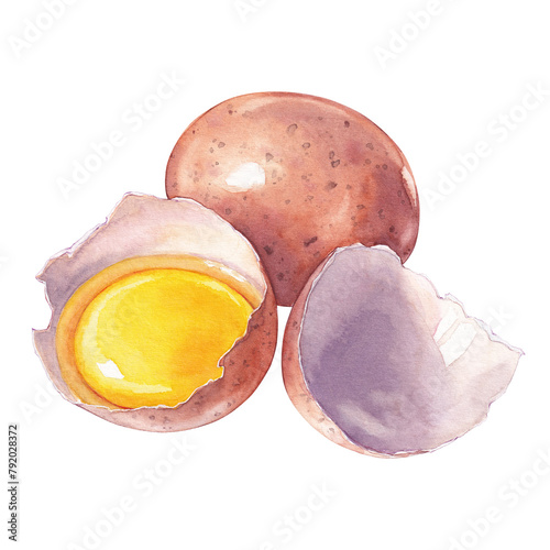 Watercolor broken chicken brown eggs, cooking ingredient illustration