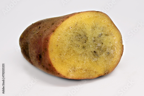 a cut of a potato tuber with black spots and streaks. The texture of a diseased potato tuber. Unsuitable for use in food and for planting. Selective focus. Dirty background