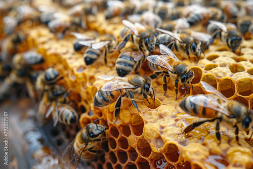 A beekeeper harvesting honey from buzzing beehives, appreciating the symbiotic relationship between humans and pollinators. Concept of sustainable beekeeping and ecological balance. Generative Ai.