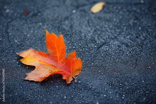 A leaf is laying on the ground, and it is the color orange. The leaf is on a black surface, and it is wet