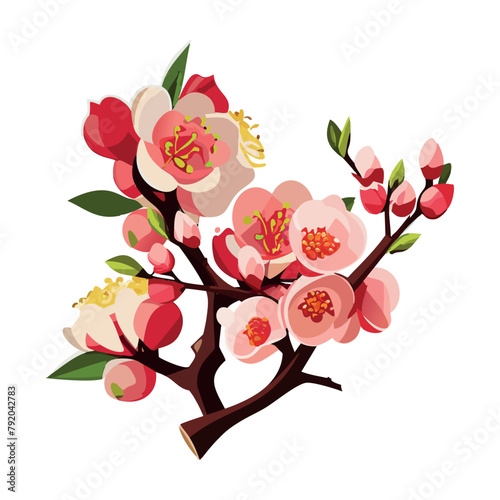 Sakura branch. Pink cherry blossoms. Flowering trees. Vector illustration on a white background.