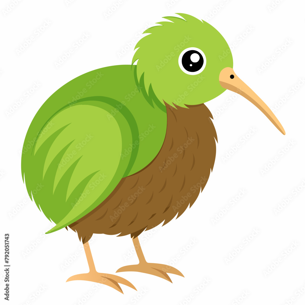 Fototapeta premium Kiwi bird vector illustration an white background 