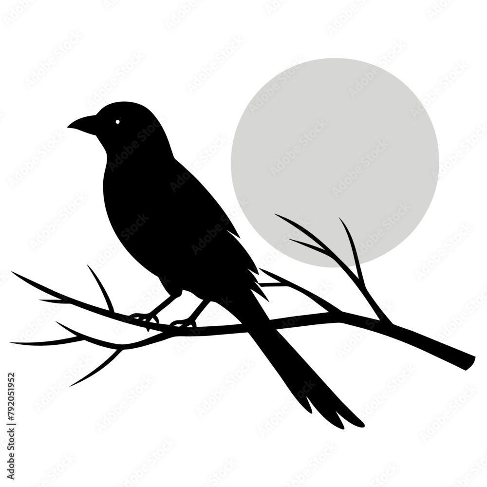 Obraz premium Bird Silhouette on Sunset Branch Vector Illustration for Wall Art & Posters white background