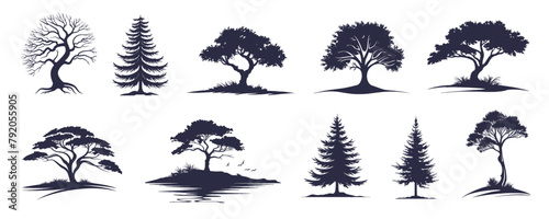 Set of tree silhouettes. Vector detailed various trees with leaves, oak, maple, pine, linden, poplar, fir, black on white background