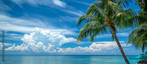 A palm tree is standing on a beach with a clear blue sky above it. The ocean is calm and inviting  and the palm tree adds a tropical touch to the scene