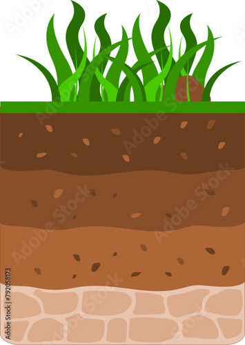 Soil Profile Simple Science Illustration