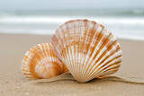 Two beautiful seashells on the beach, with sandy background and blurred sea in the distance