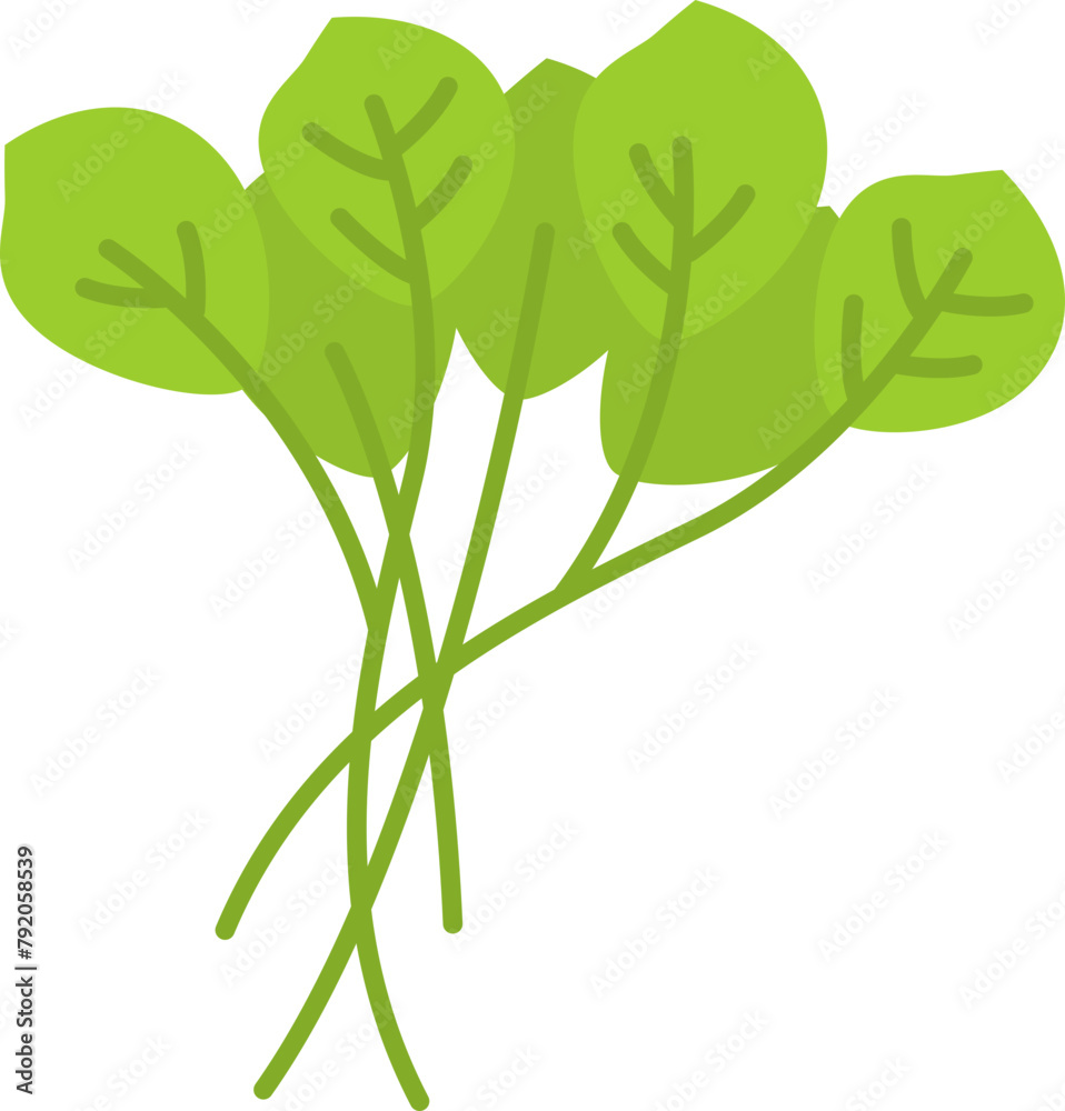 Microgreen Plants Illustration