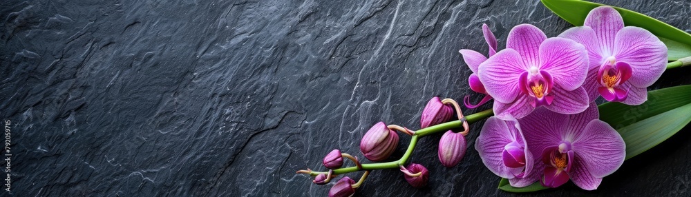 Purple orchid buds on green stems against dark slate Purple orchid buds on green stems against dark slate