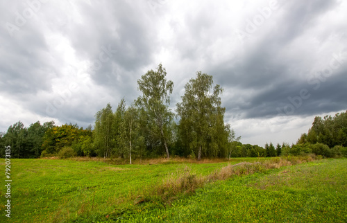 Rural landscape in summer day. Latvia, East Europe.
