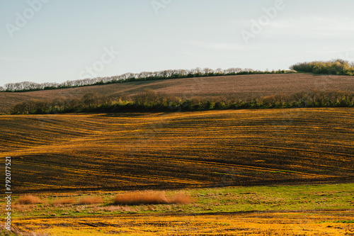 Outdoors landscape shot of yellow fields and hills in spring on a beautiful sunny day.