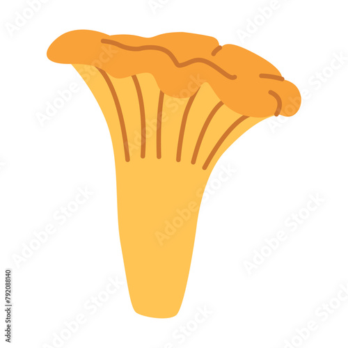 Chanterelle illustration. Edible chanterelle mushrooms. Yellow mushroom. Hand drawn trendy flat style. Doodle autumn forest harvest. Vector illustration