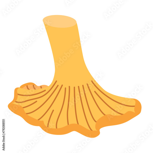 Chanterelle illustration. Edible chanterelle mushrooms. Yellow mushroom. Hand drawn trendy flat style. Doodle autumn forest harvest. Vector illustration