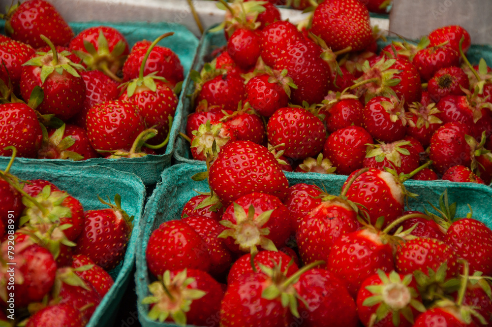 A close-up of ripe organic strawberries in baskets during the summer A close-up of ripe organic strawberries in baskets during the summer