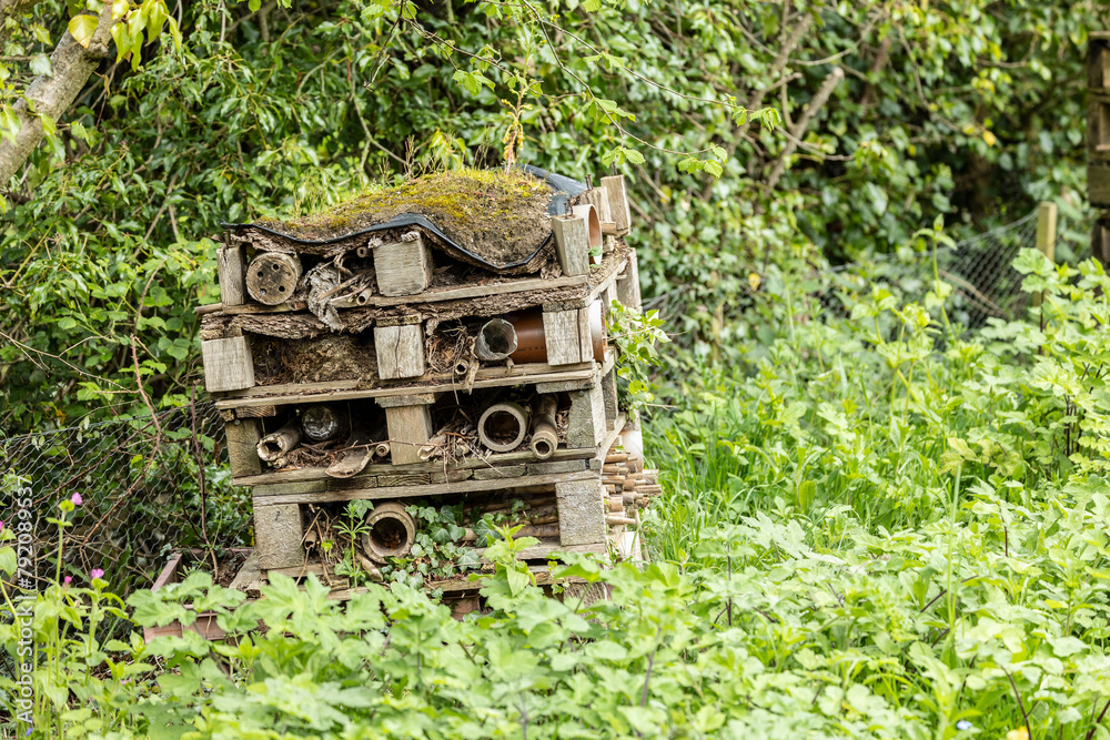 Wooden insect hotel, shelter for wild insects in forest reserve