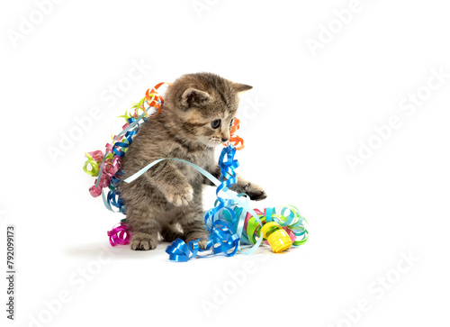 Cute tabby kitten playing with colorful ribbon