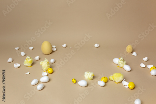 chickens and eggs on a beige background. place for text. white shell chicken eggs