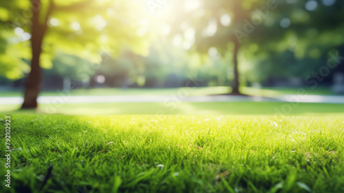 Beautiful spring summer natural landscape. Green city park grass, walkway, on blurred trees background on warm sunny morning day. Colorful bright nature wallpaper with copy space for text.