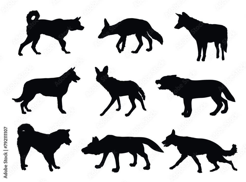 Wolf, coyote,jackal and dog collection vector silhouette illustration isolated. Maned wolf. Husky and Akita Inu. Wolf shape shadow. Dog breeds. Coyote and jackal beast symbol. Wild and pet animal.