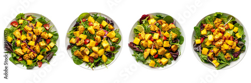 Set of a Mango Curry Chicken Salad on A ,transparent background