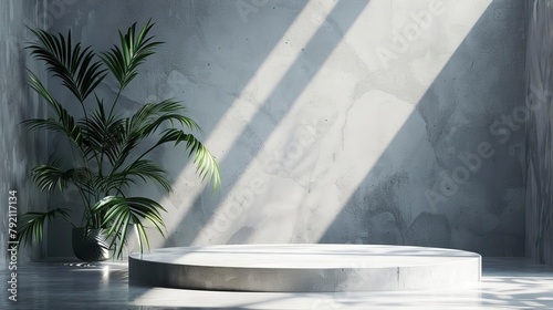 grey concrete studio background with podium leaves shadow 3d product display room illustration © Bijac