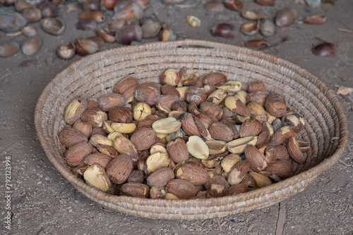 Fresh acorns in handmade winnowing basket on dirt floor