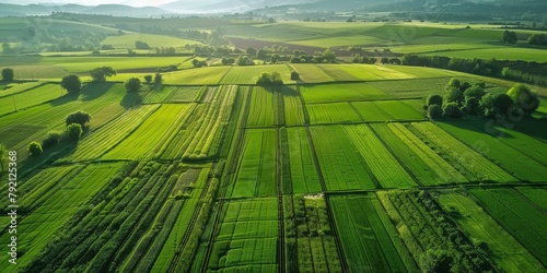 Agricultural Fields from a bird's eye view Generative AI