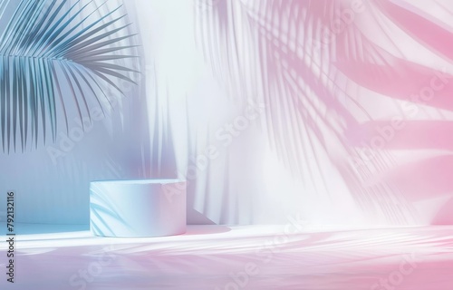 Palm Tree Shadow on Wall