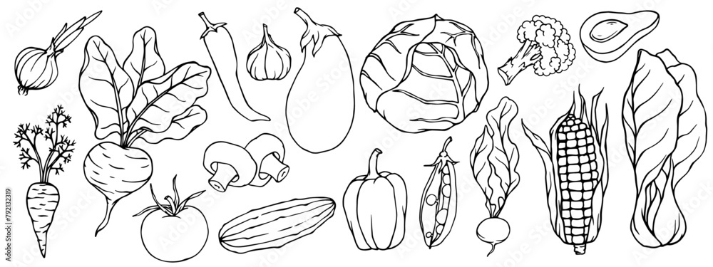A set of sketches, doodles of various vegetables. Vector graphics.